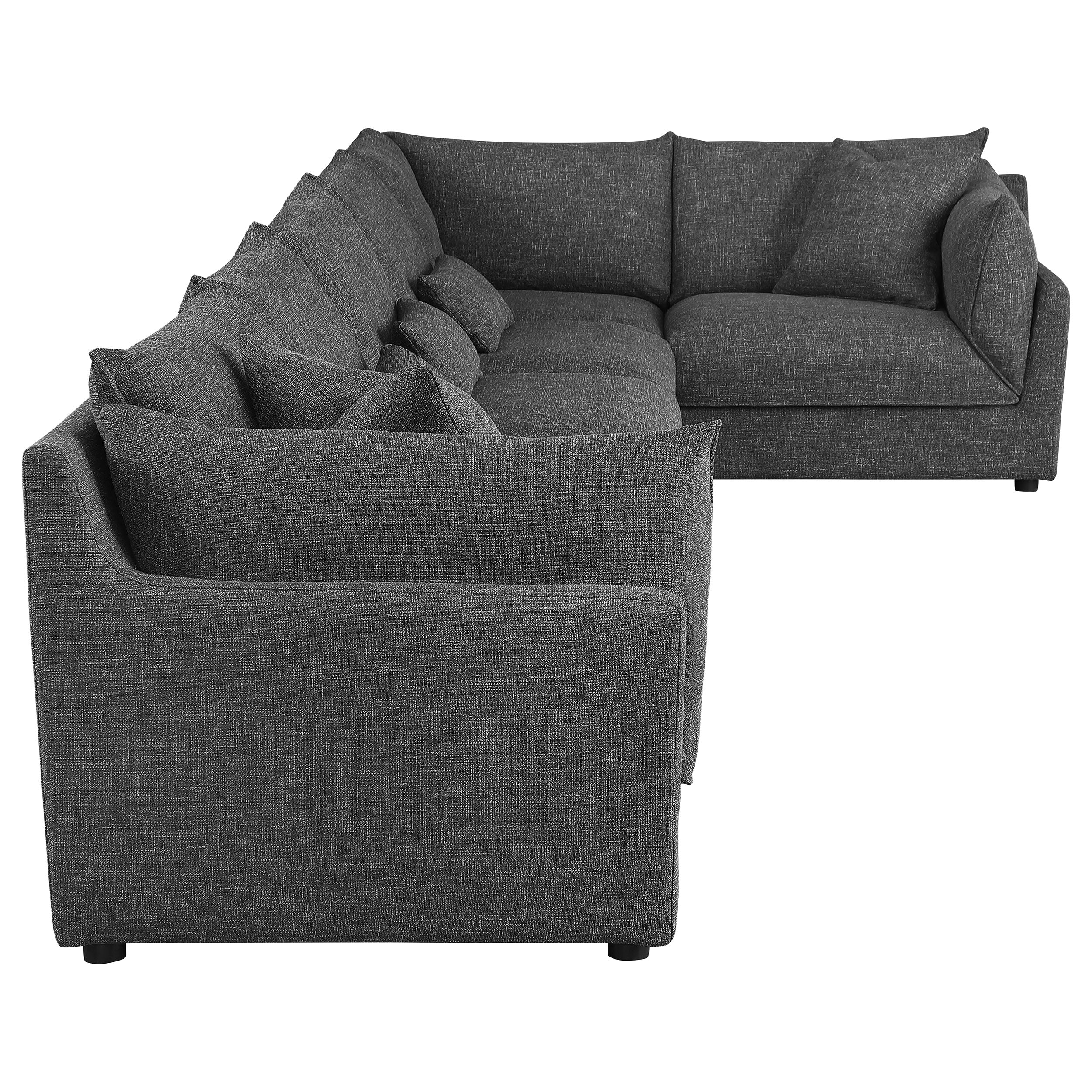 Sasha Modular Sectional Barely