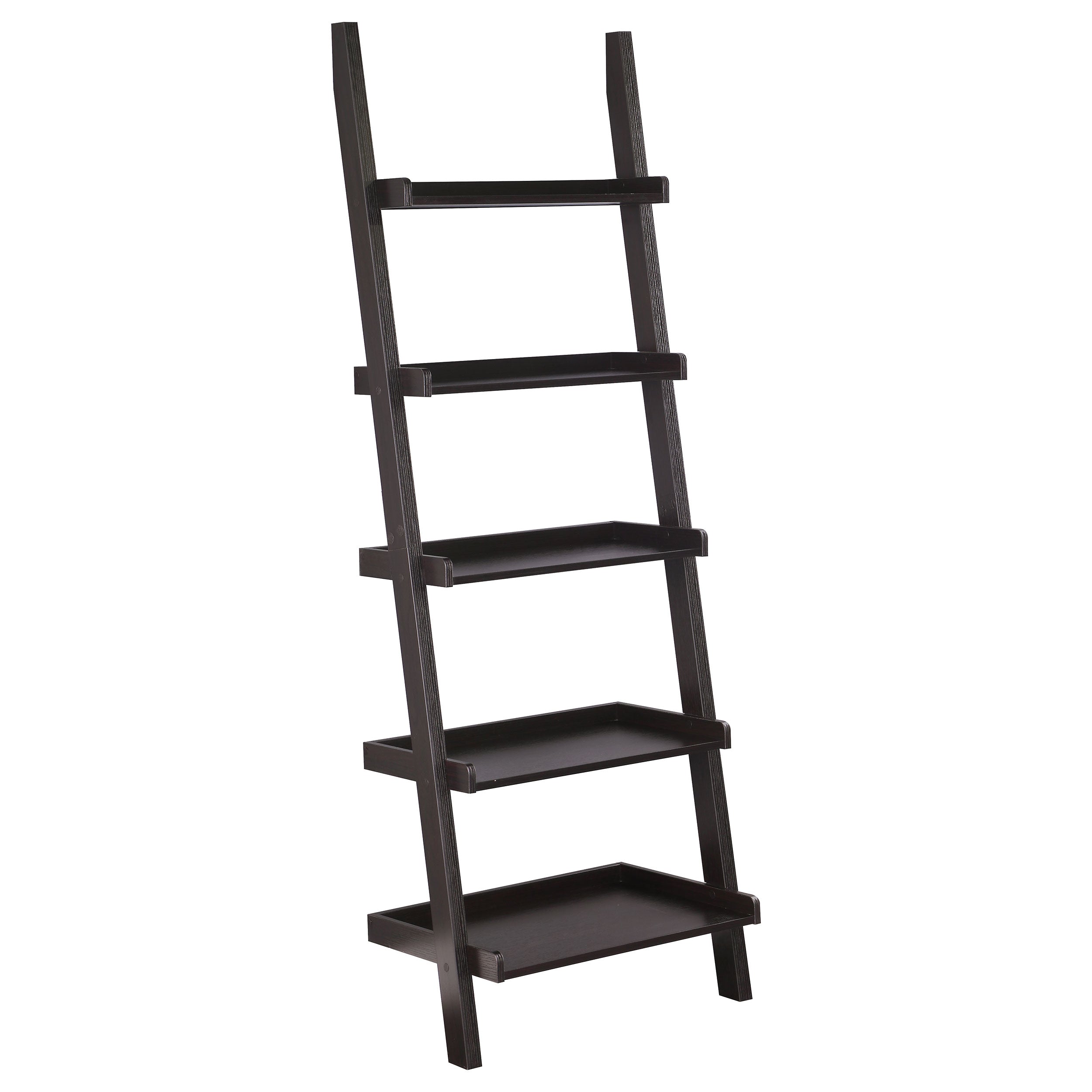 Colella Ladder Desk with Shelf Cappuccino