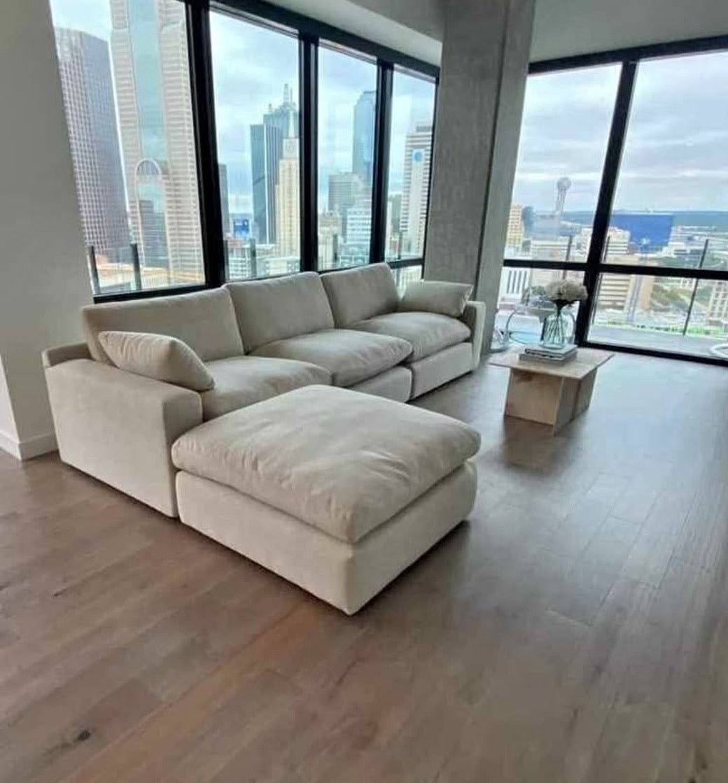 Elyza 2-3 Piece Sectional with Ottoman (Customizable)