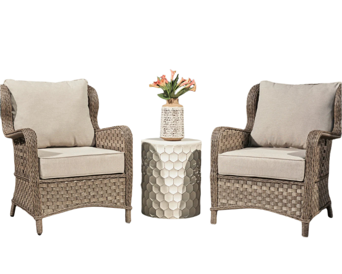 Clear Ridge Lounge Chair w/Cushion (2/CN)