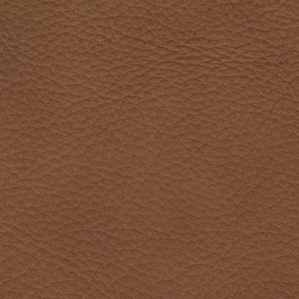 Magic Man 5-Piece Power Reclining Sectional