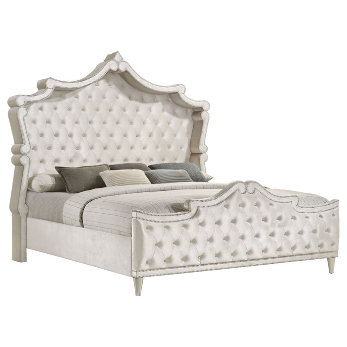 Antonella  Bedroom Set Ivory